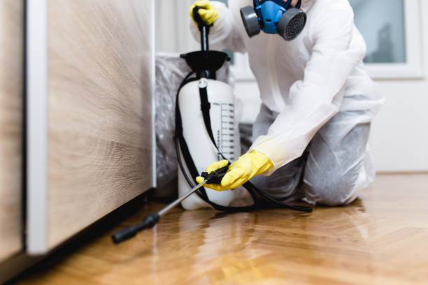 Best Residential Pest Control  in North Westport, MA