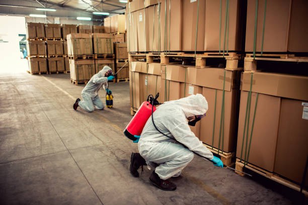 Best Bed Bug Extermination  in North Westport, MA