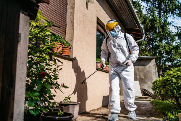 Best Bed Bug Extermination  in North Westport, MA