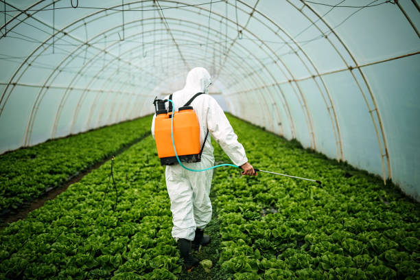 Best Affordable Pest Control Services  in North Westport, MA