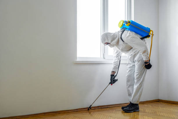 Best Pest Control Near Me  in North Westport, MA