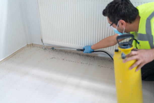Best Pest Inspection Near Me  in North Westport, MA